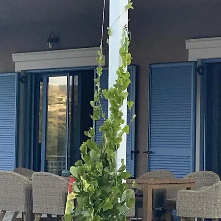 Magiko بوروس