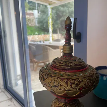 Magiko فيلة